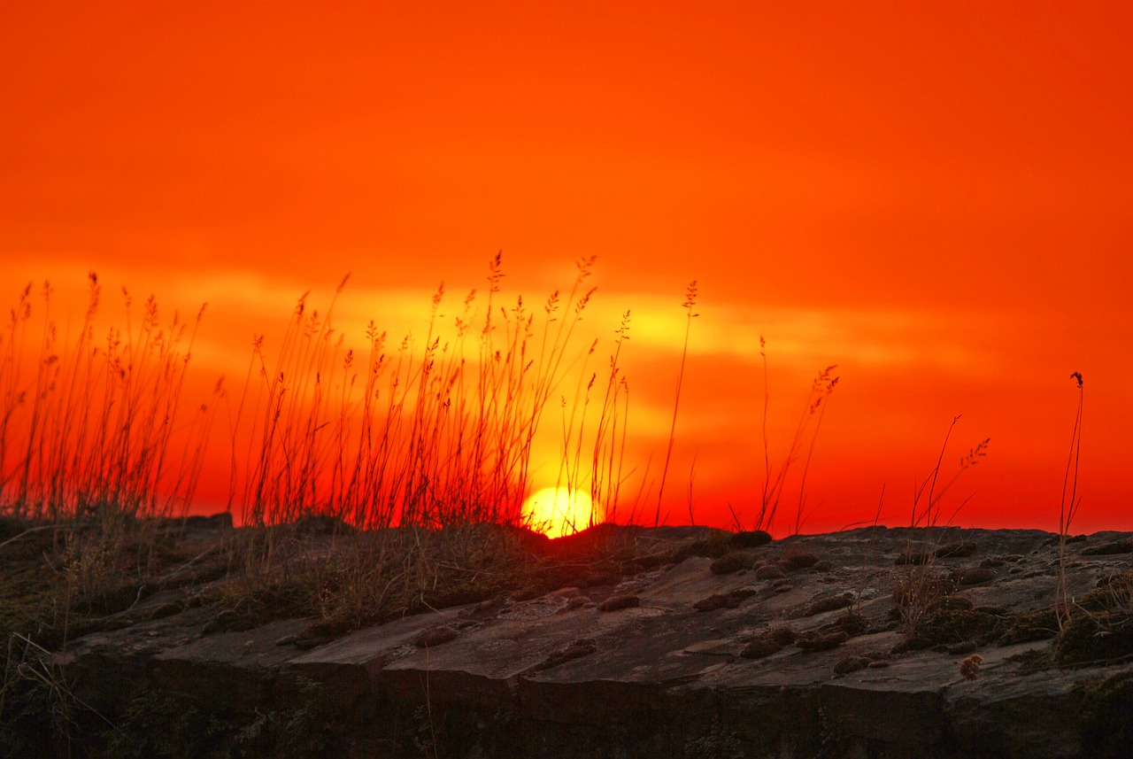 sun, afterglow, nature